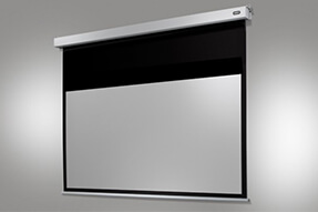 celexon schermo a motore Professional 220 x 124 cm