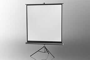 celexon schermo con cavalletto Economy 184 x 184 cm