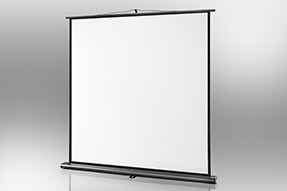 celexon schermo Ultra-mobile Professional 200 x 200 cm