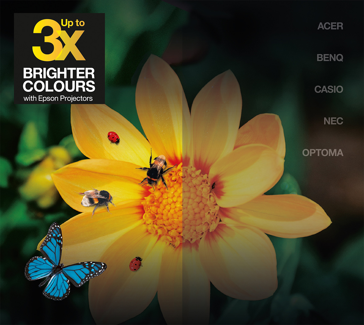 Epson luminosità del colore | Confronto dei proiettori Epson con altri produttori