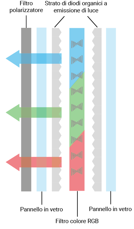 Display OLED